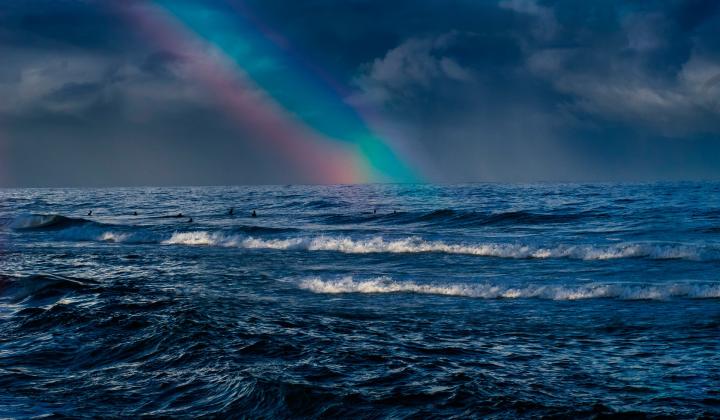 pexels-livia-bittencourt-4636525