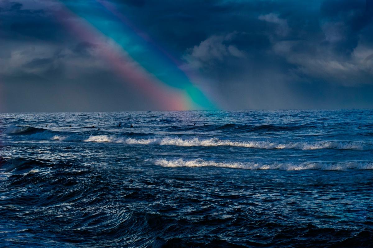 pexels-livia-bittencourt-4636525